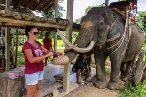 Elephant_riding_Thailand