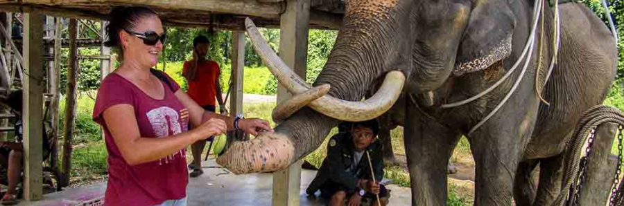 Elephant_riding_Thailand