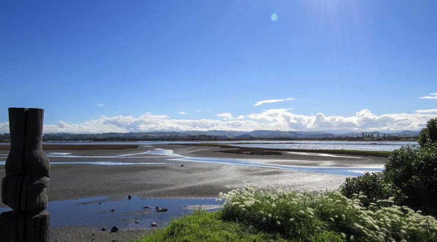 Ahuriri Napier New zealand