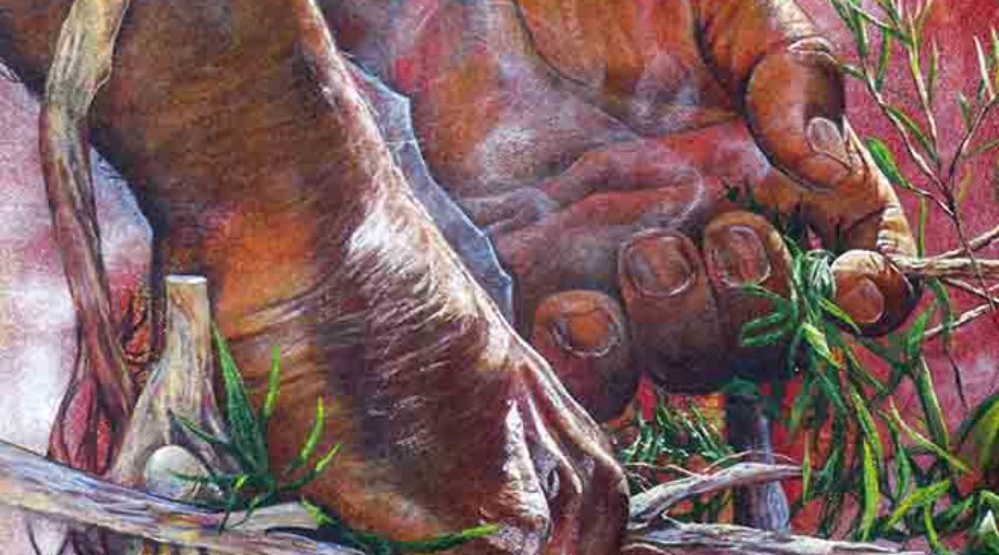 Townsville’s Vibrant Street Art Scene!