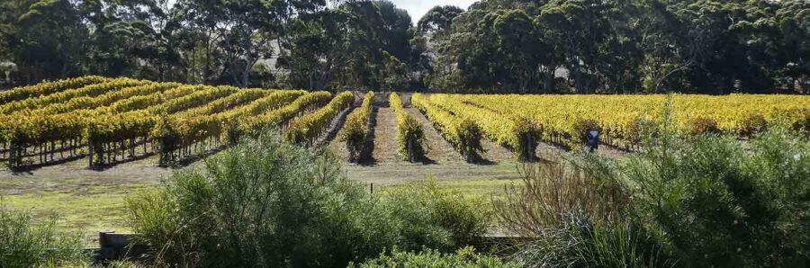 Kangaroo Island Wineries