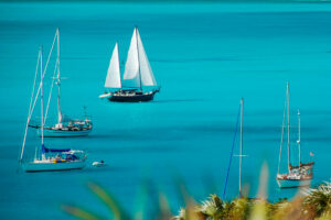 Photo of yachts at anchor