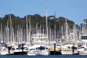 Boat talk - a photo of Pittwater marina in NSW showing many boats